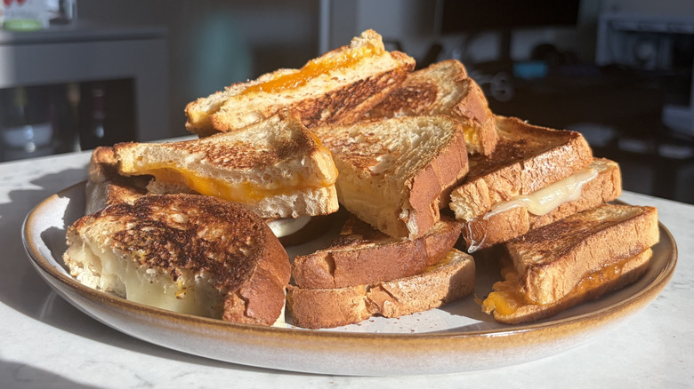 Halved grilled cheese sandwiches made with different cheeses sit on a plate