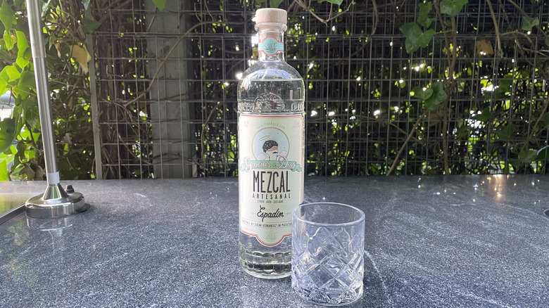 Gracias a Dios Espadin mezcal bottle and glass tumbler sit on an outdoor counter.