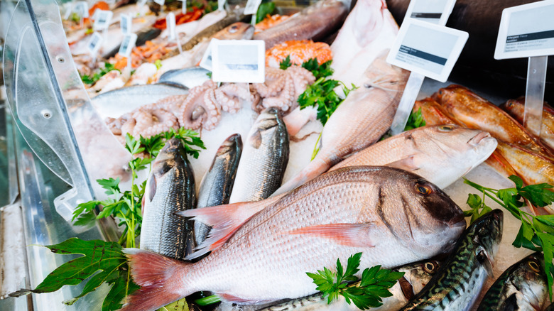 Variety of fish on display at fish market
