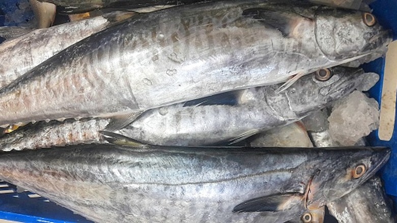 Fish stacked in a basket