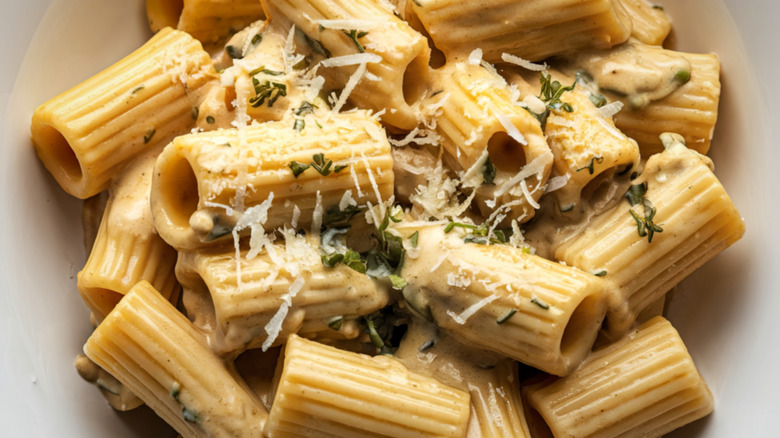 Closeup of penne with a creamy sauce and shredded parmesan cheese sprinkled on top