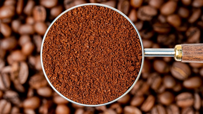 Ground coffee in a metal scoop with a wooden handle, placed over a background of roasted coffee beans.