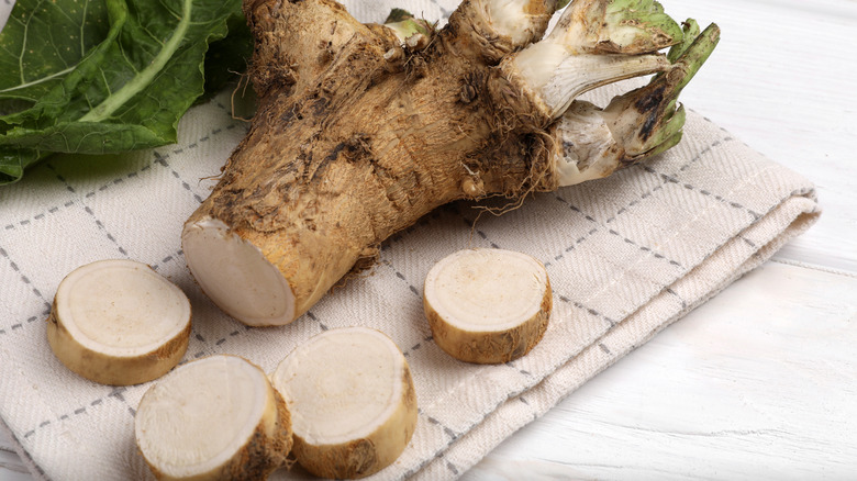 A horseradish root with several slices taken out.