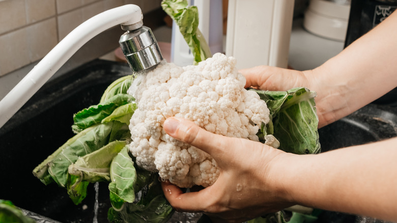 person washing a cauliflower with leaves