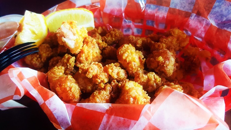 fried alligator meat bites