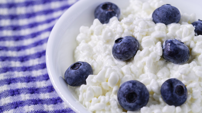 Bowl of cottage cheese with blueberries