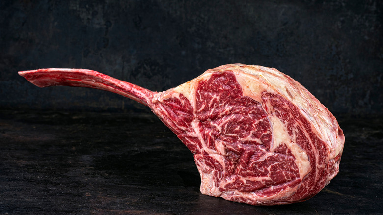 Raw tomahawk ribeye standing on side.