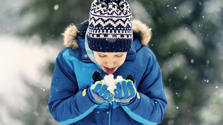 Child eating snow out of hands.