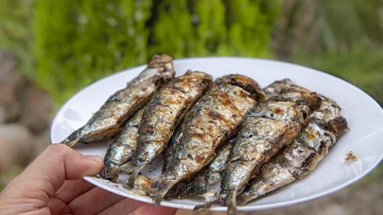 A hand holds a plate of grilled sardines