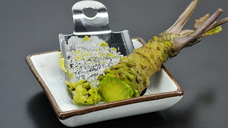 Freshly grated wasabi with the root of a wasabi plant on a small white square plate.