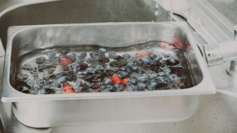 Berries soaking in stainless steel bin.