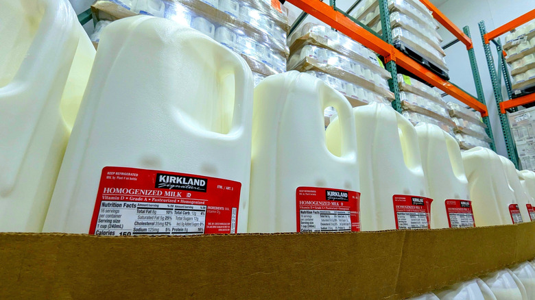 Jugs of Kirkland Signature milk in cardboard trays