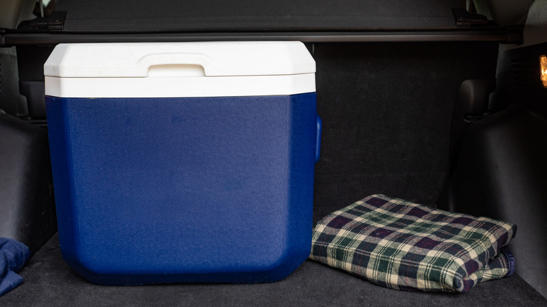 Cooler in back of a trunk