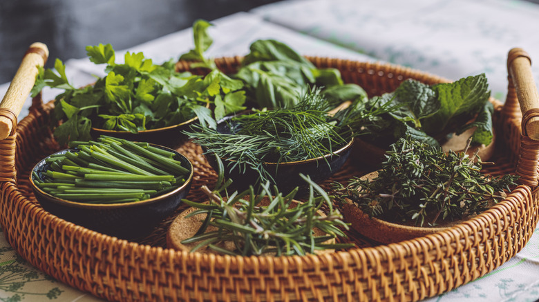 A flat basket filled with various fresh herbs