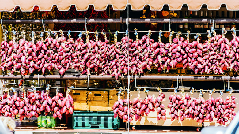 Calabria, Italy, Large bunches of famous red Tropea onions hanging at a local market stall