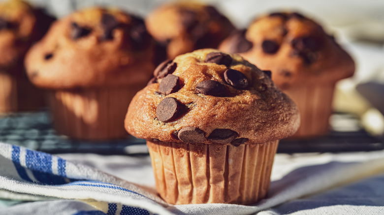 Fluffy chocolate chip muffin.