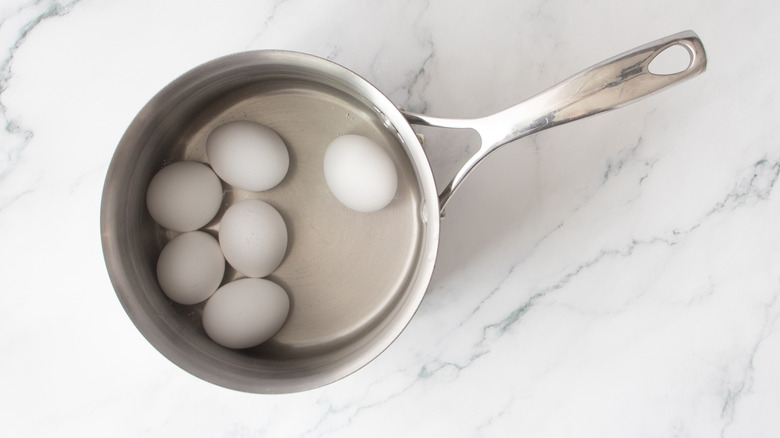 eggs and water in a saucepan