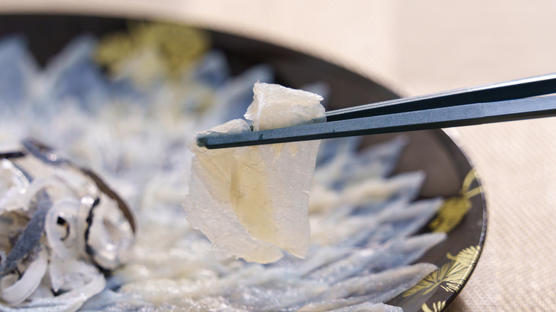 Chopsticks picking up thin slices of pufferfish meat off of a plate