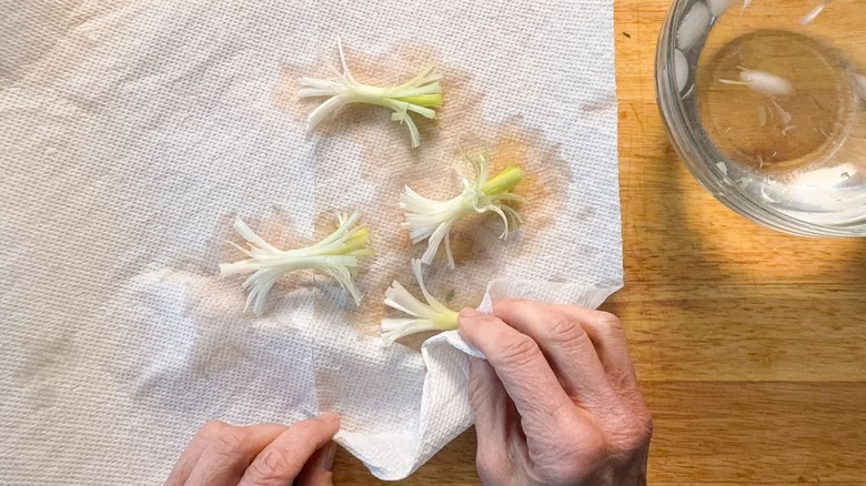 Drying scallion brushes with paper towel