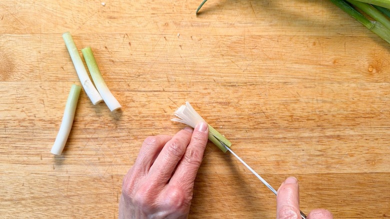 Cutting lengthwise slits in scallion pieces on cutting board