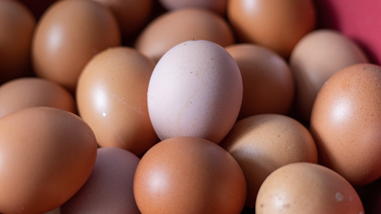 pile of eggs