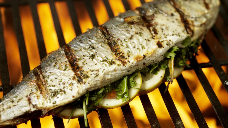 Fish on the grill
