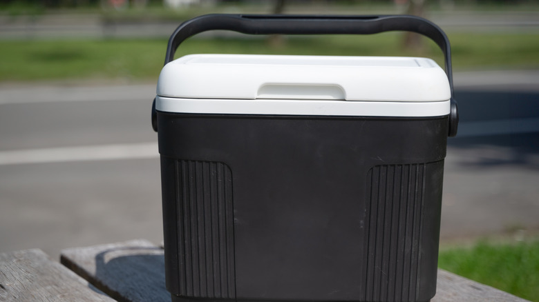Black and white cooler on a picnic table