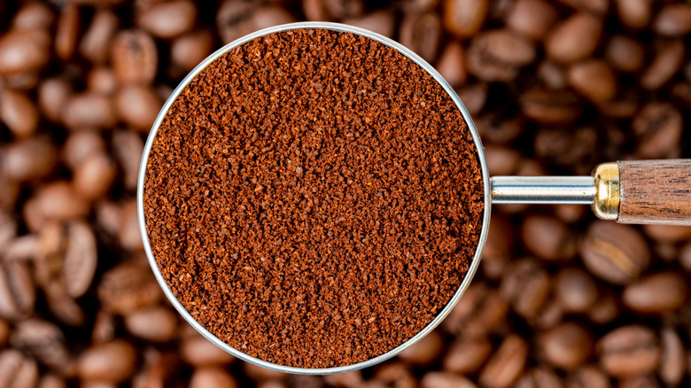 Coffee grounds in a portafilter, with whole beans in the background