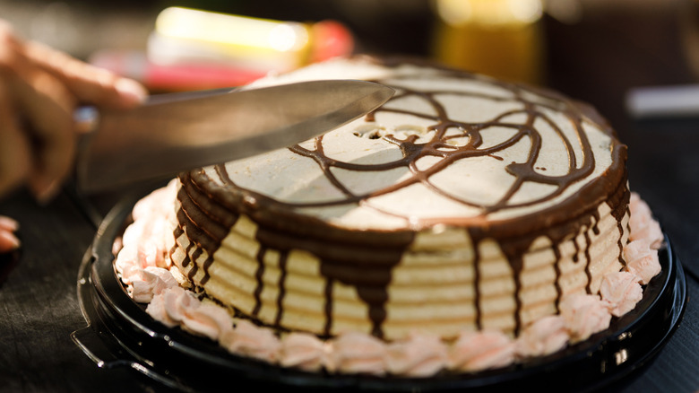 person cutting a cake