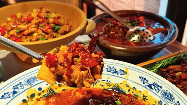 Assorted dishes at Szechuan Mountain House.