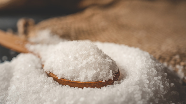 Wooden spoon filled with white table salt.