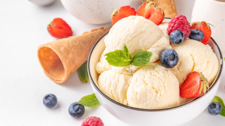 A bowl of vanilla ice cream with berries