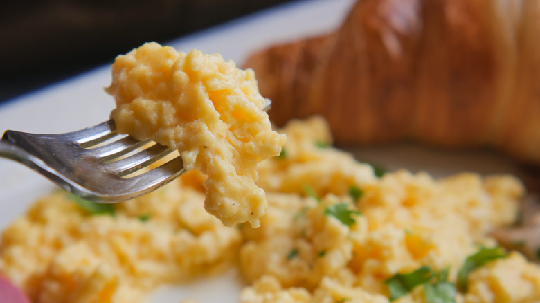 Scrambled eggs on a fork