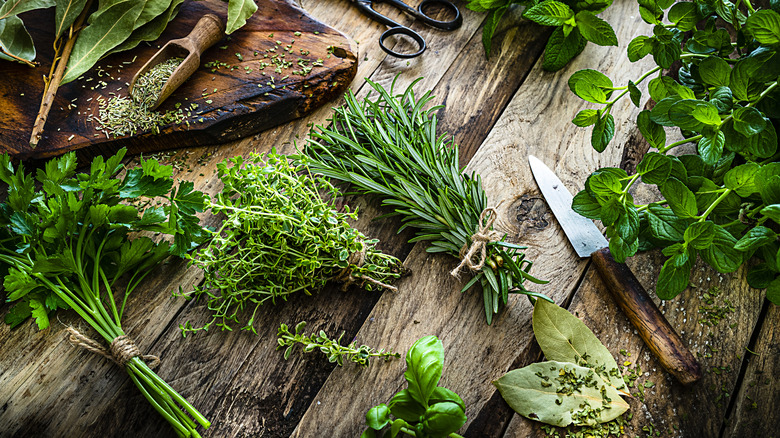 Bundles of fresh herbs on a wooden table.