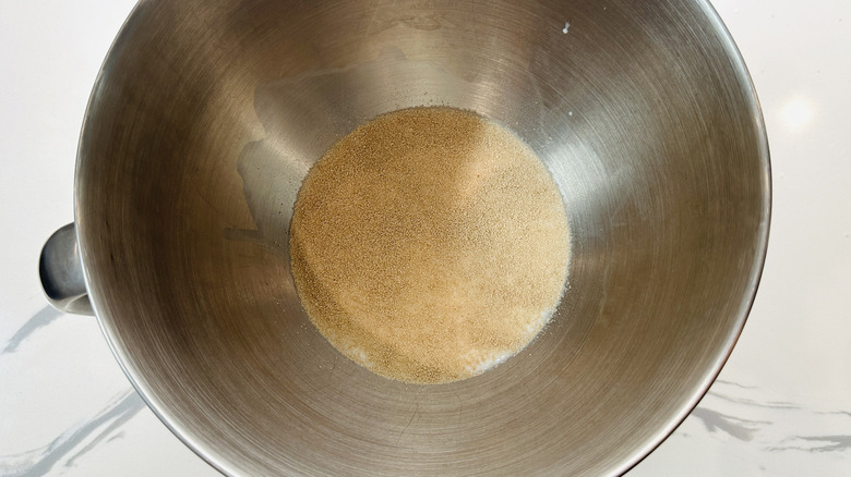 yeast and liquid in a metal bowl