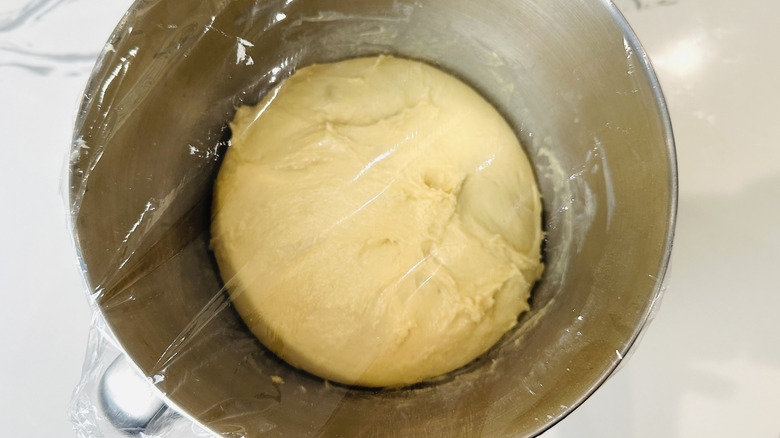 dough in a plastic wrap-covered metal bowl