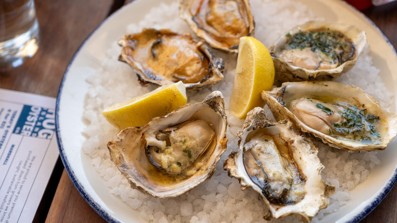 fresh oysters at hog island oyster
