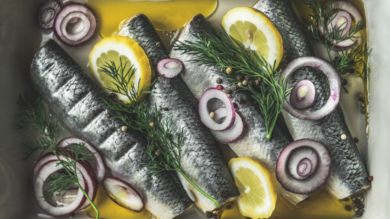 Pickled herrings