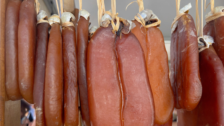 bottarga in the drying phase