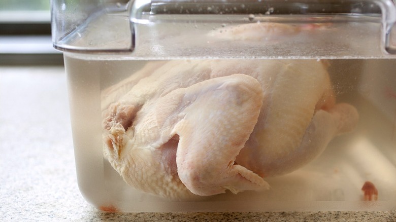 Raw chicken in cold brine.