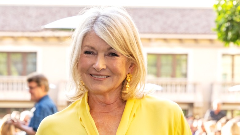 photo of Martha Stewart smiling