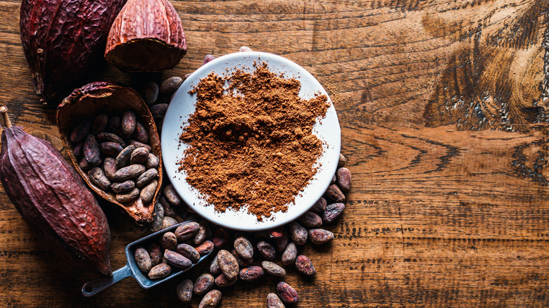 A saucer with cocoa powder, surrounded by cacao beans.