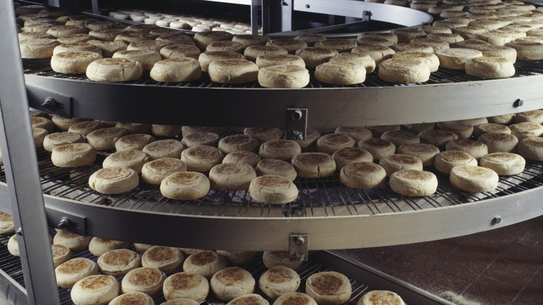 English muffins cycle across a conveyer belt in an industrial bakery.