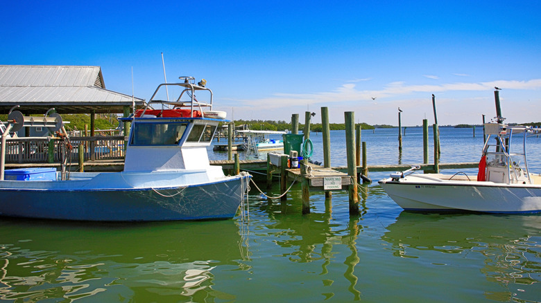 Starfish Wharf in Cortez, Florida