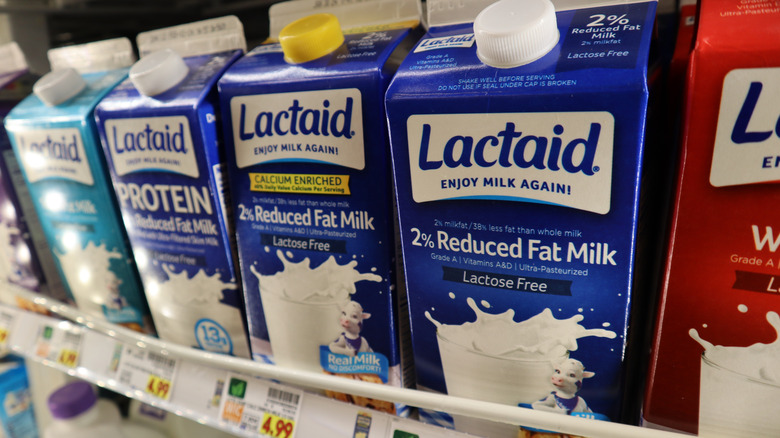 Lactaid Milk cartons on display at a grocery store
