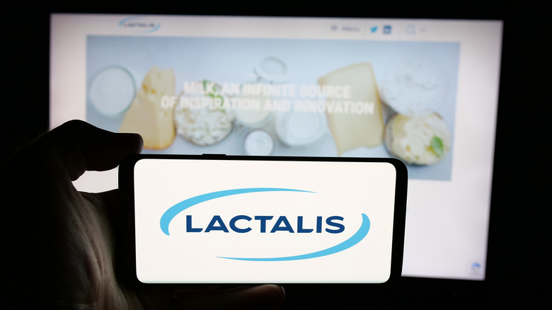 A hand holding up a phone with the Lactalis logo displayed on the screen and the Lactalis websit eon a computer behind it