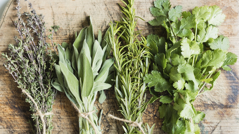 fresh herbs in bundles on cutting board