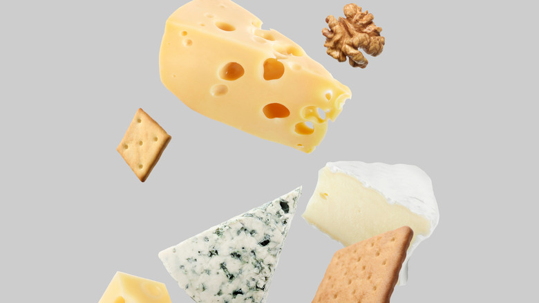 arrangement of white and brown foods on gray background