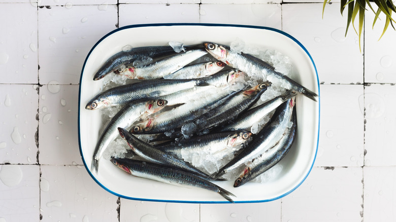 canned fish in small tin