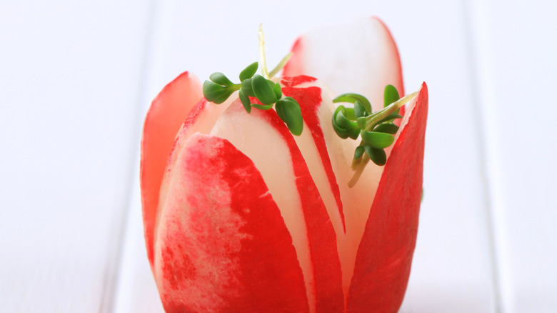 radish tulip with microgreens